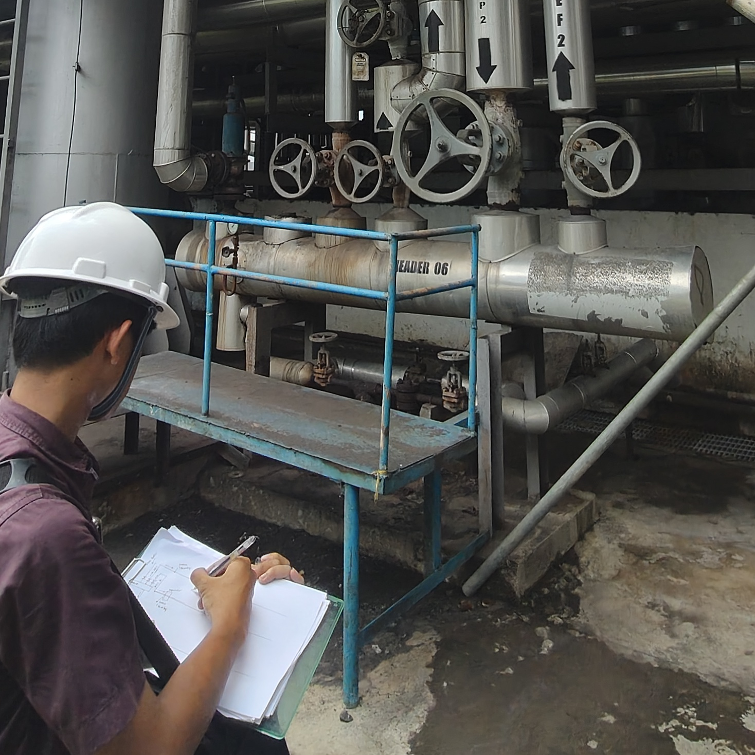 Survey - Steam Distribution System